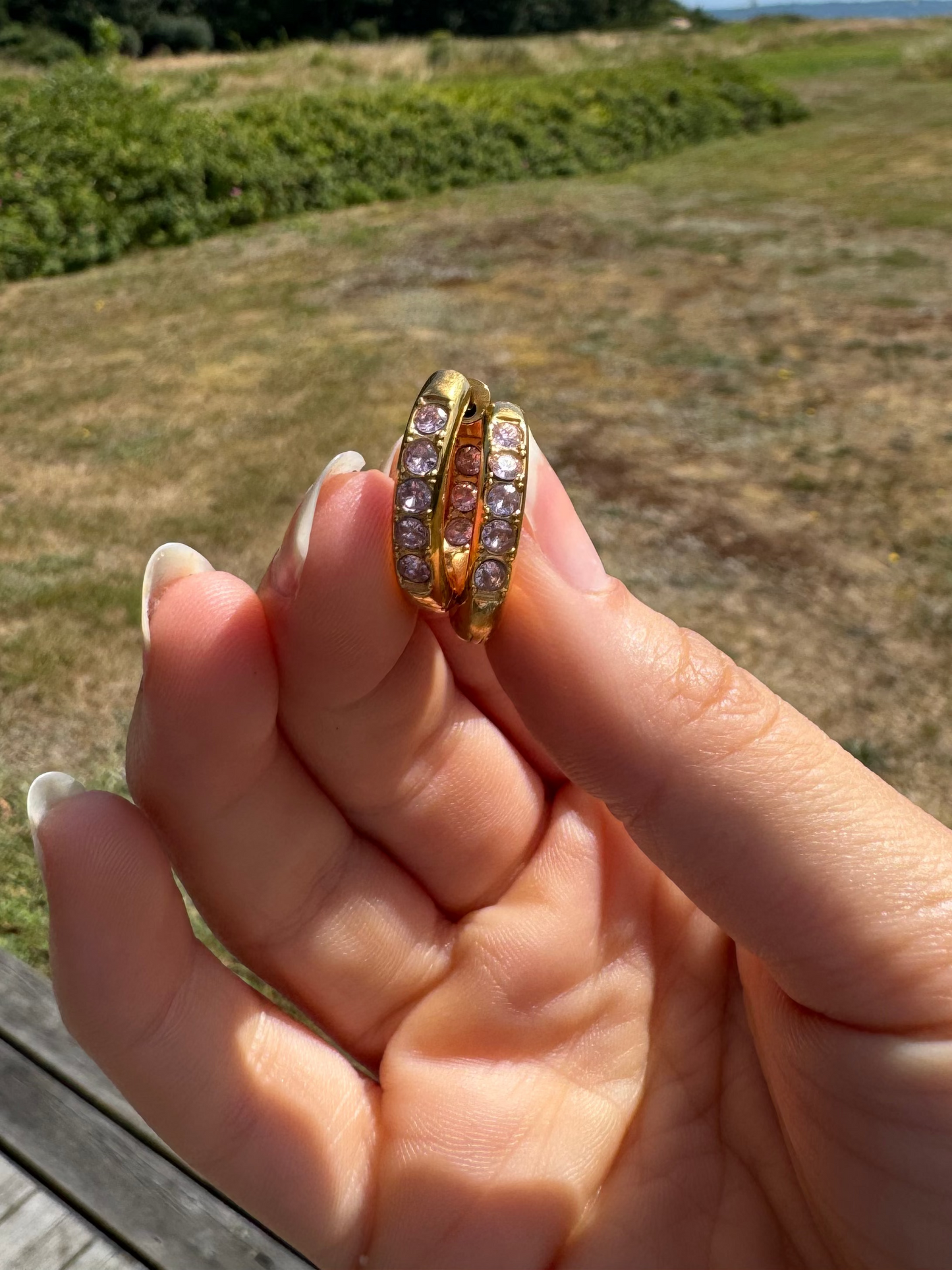 Rosa hoops