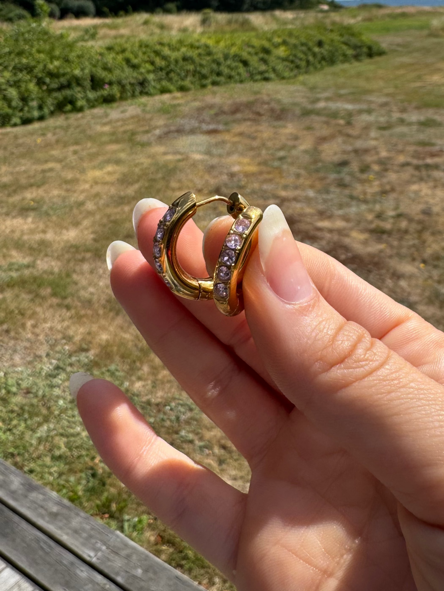 Rosa hoops
